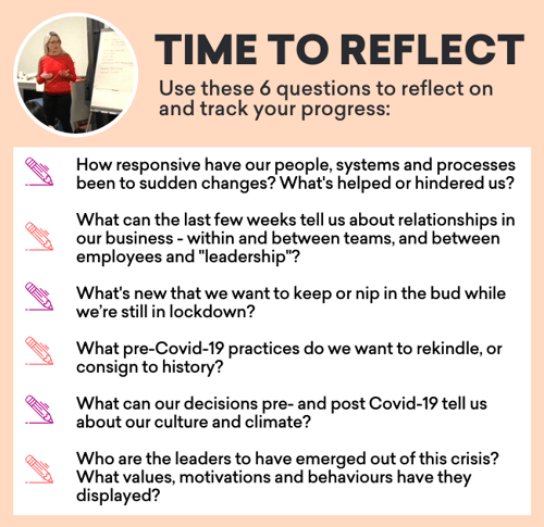 -revised Liz reflect qs