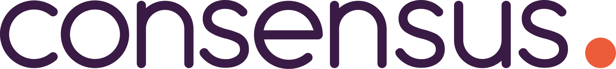 Consensus Support Services Logo