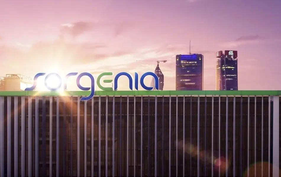 2023-Italy-Sorgenia-Company-Photo